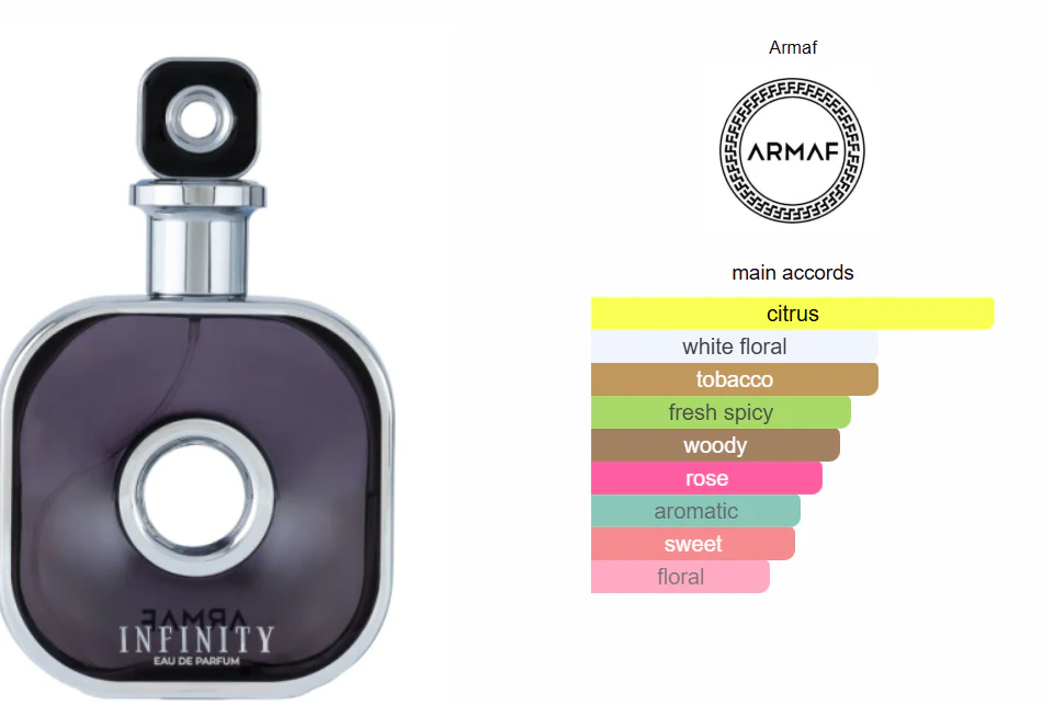 Armaf - Infinity - Eau de Parfum Masculino 100ml - Image 3